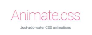 Animação com css