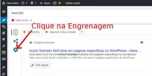 Captura e Tela: mostra como Colocar noindex e nofollow em post específico no WordPress